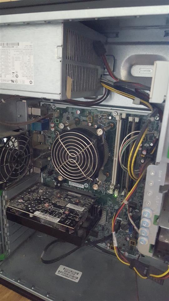 pc-gaming
