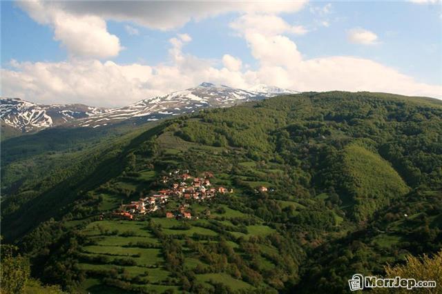 Ara