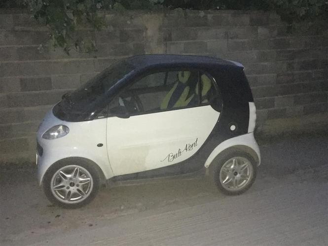 Smart benzin -01 