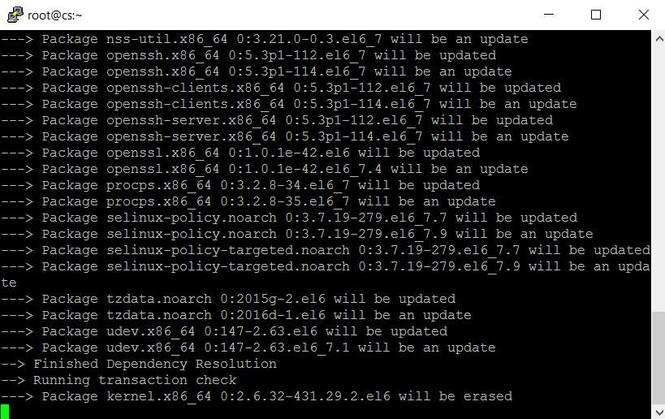 Linux cs server 1.6