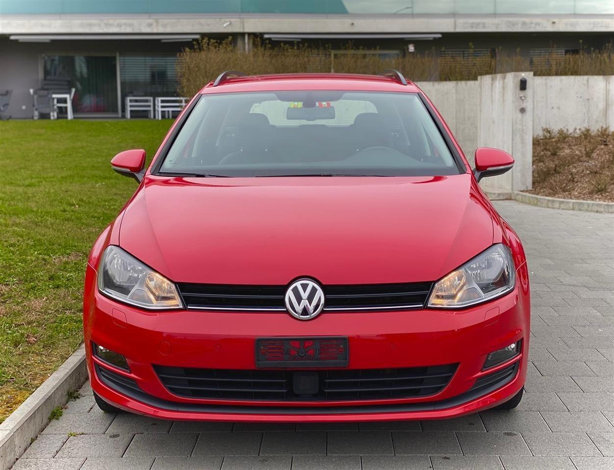Shitet-GOLF-variant-----