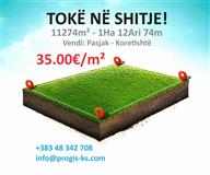 Shiten 11274m² ne Pasjak - Koretishte, 35.00€/m²