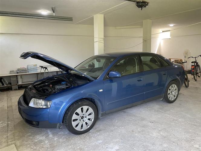 Shes Audi