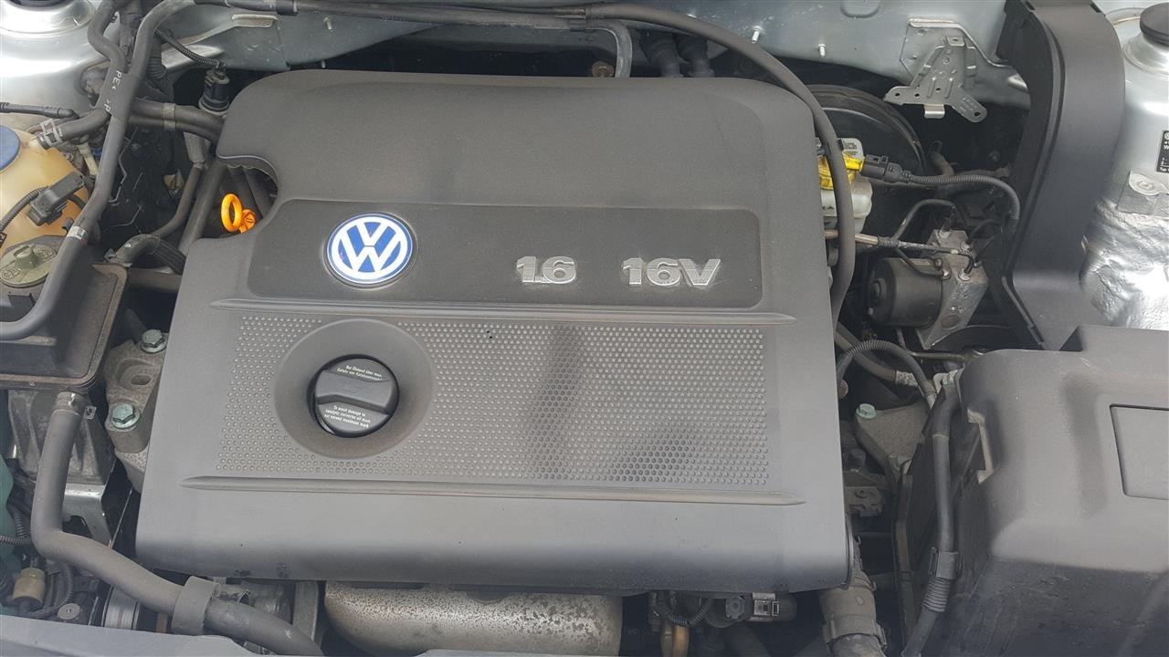 Golf4--1-6