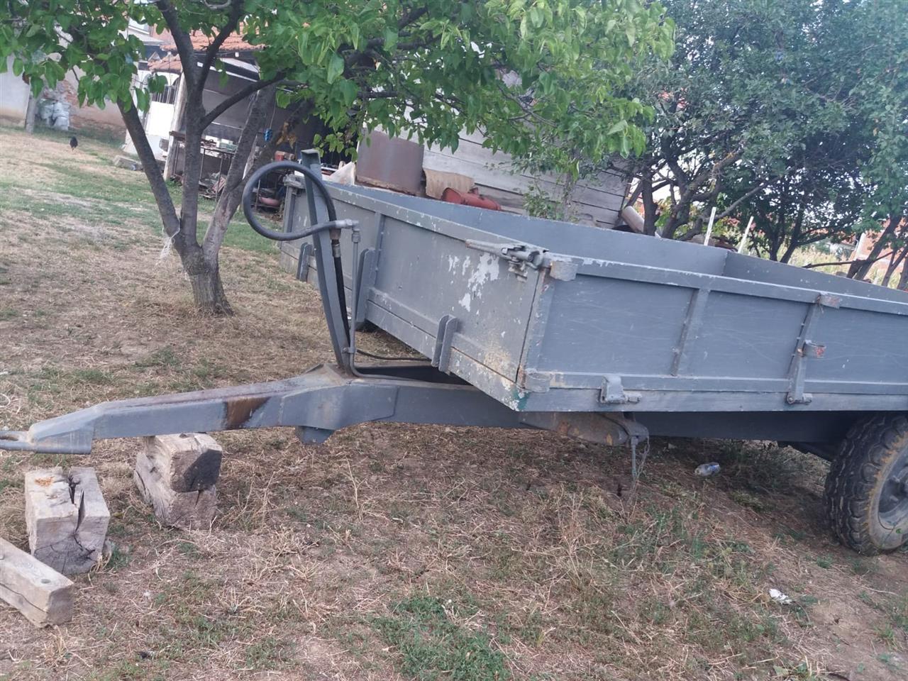 Prokolic