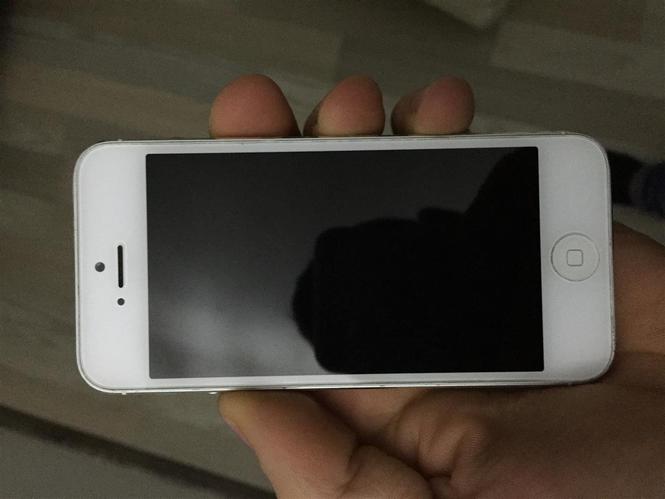 iPhone 5 