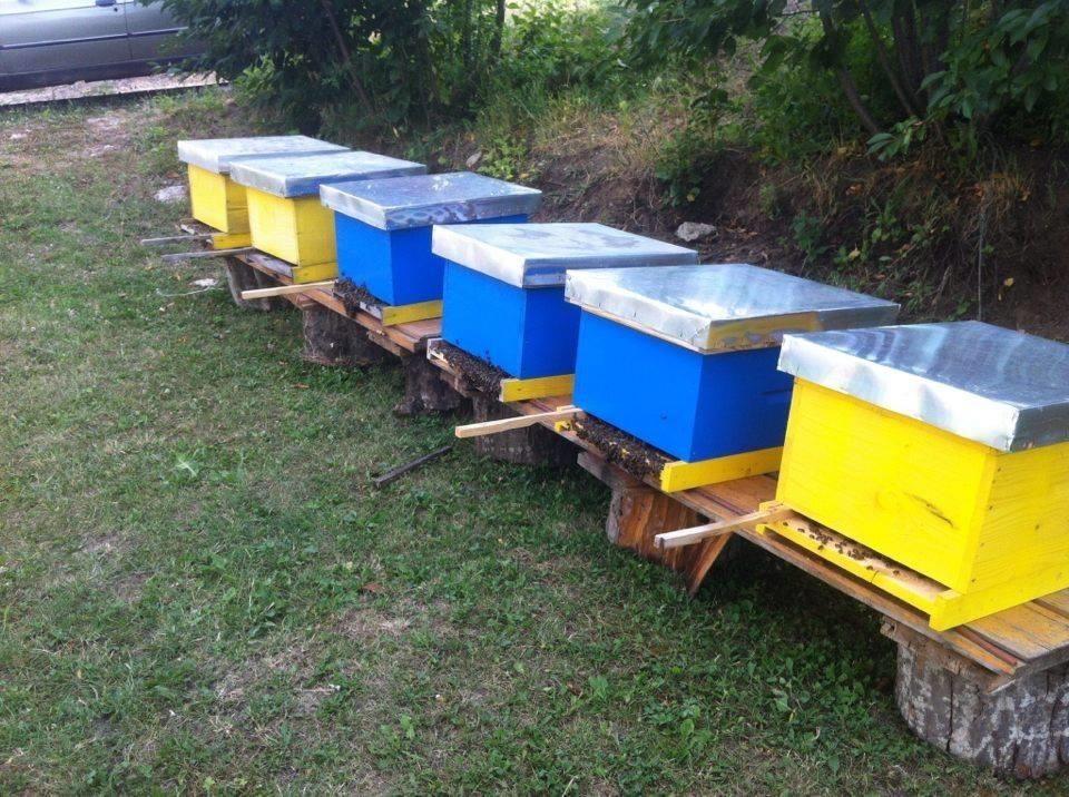 Bletet-