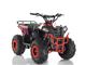 Motorr ATV Quad Kuad 110 CC Per Femij Mosha:7-15 Vjeq
