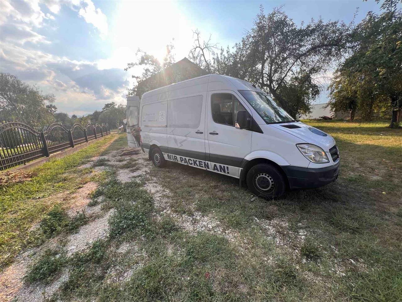 Sprinter-313