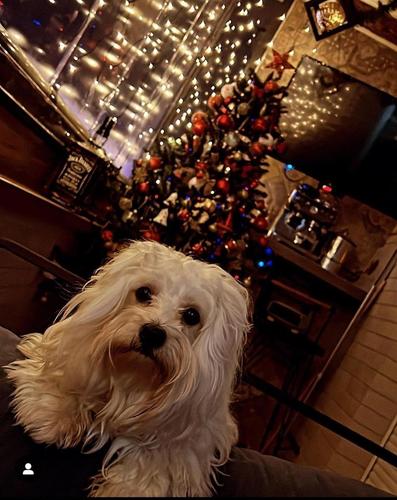Maltezer