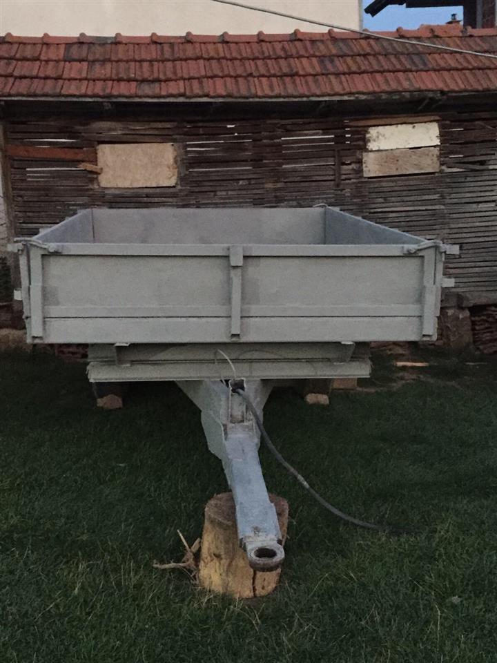 prokolic