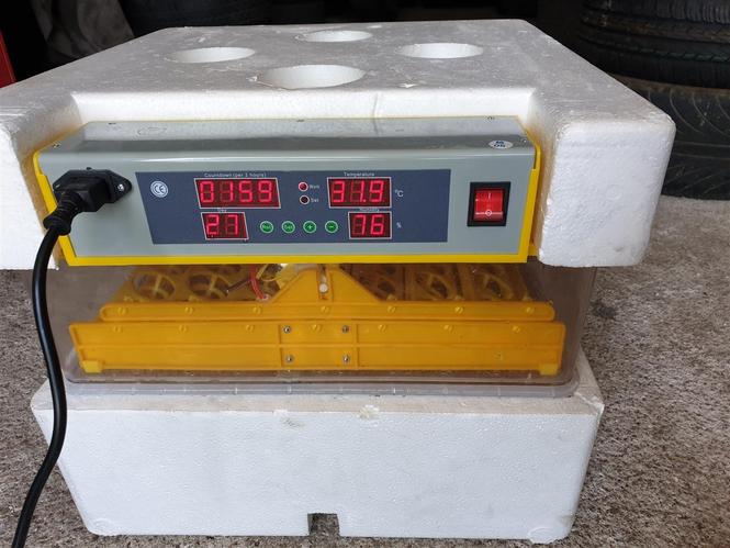 Inkubator