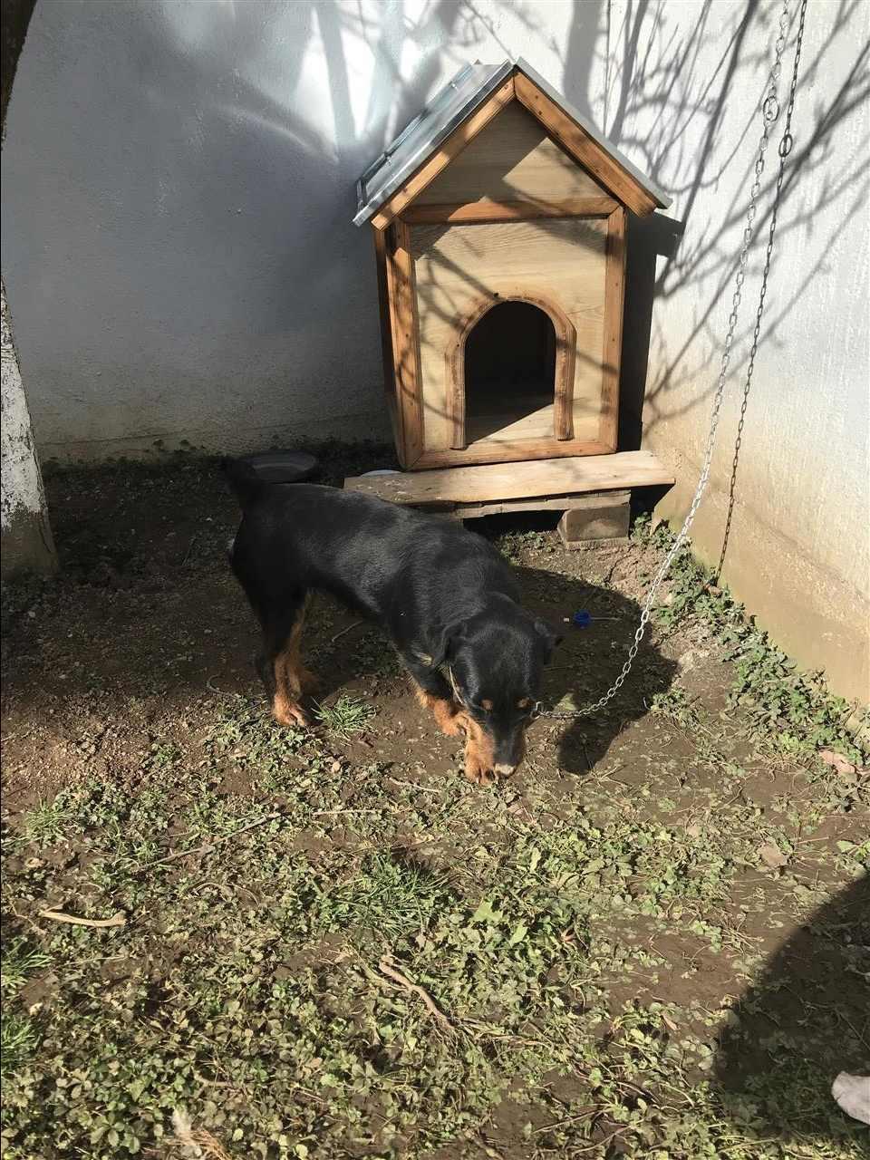 KlushI