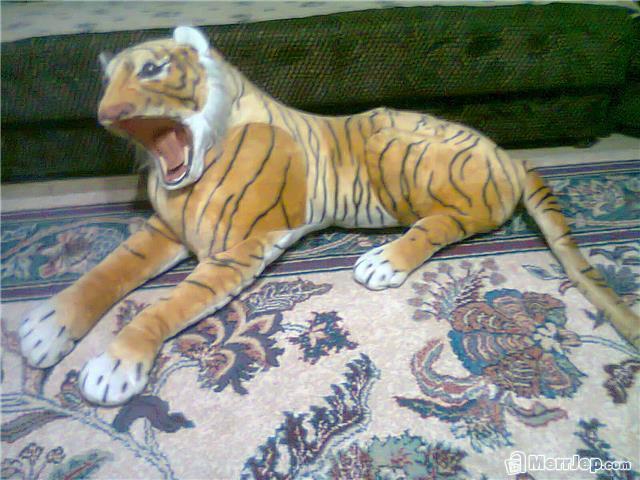 Tigri