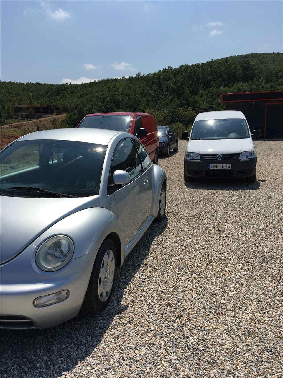 Bettle