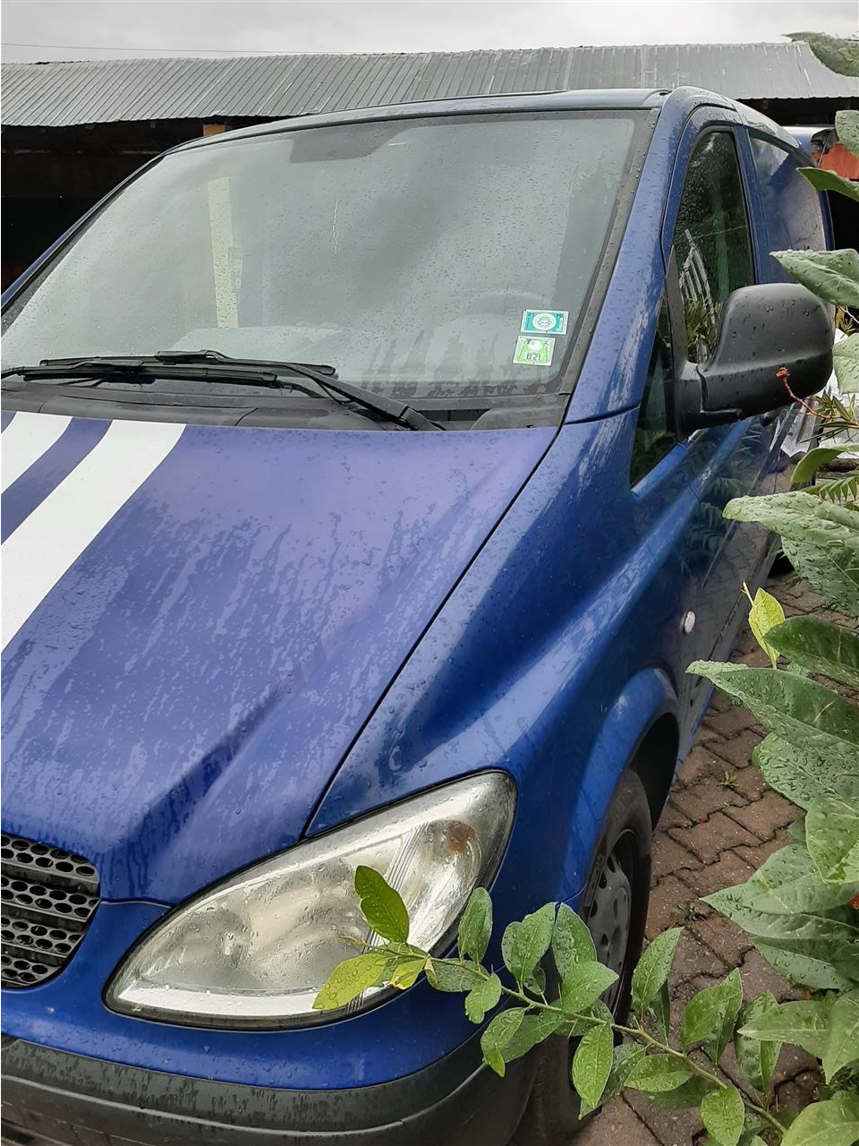 Vito-111