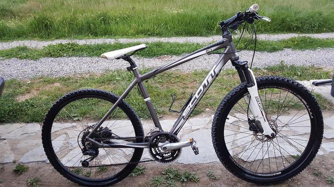 Scott 