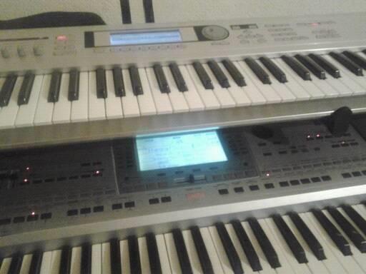 Korg