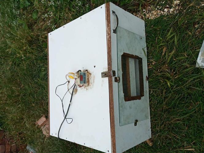Inkubator