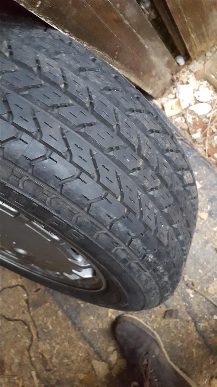 Fellne-