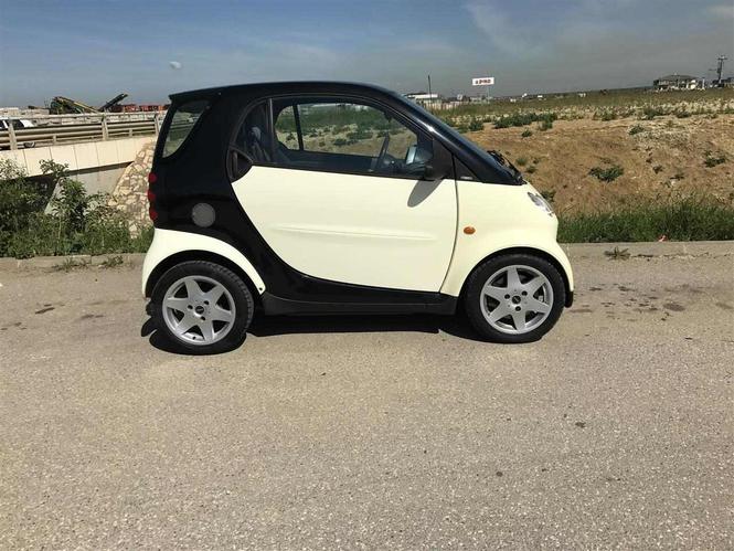 Smart 