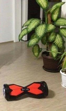 hoverboard-8-inch
