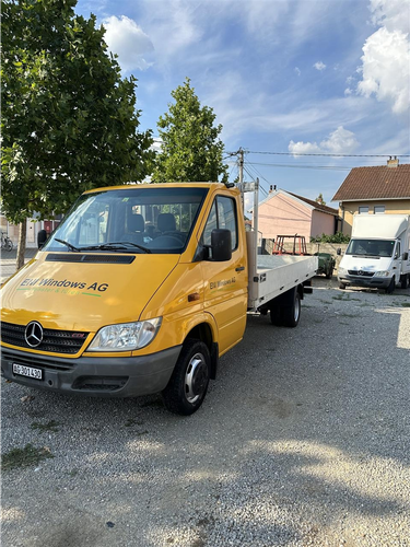 Sprinter