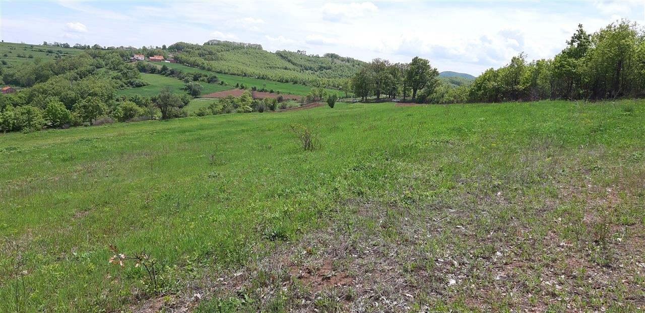 Capar-