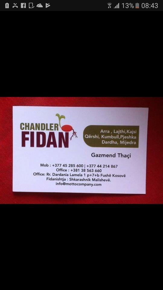 fidane