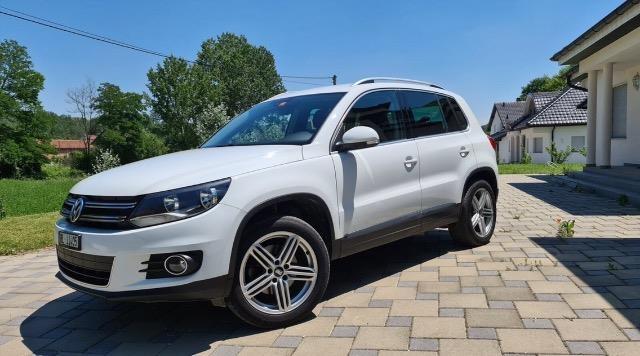Shes