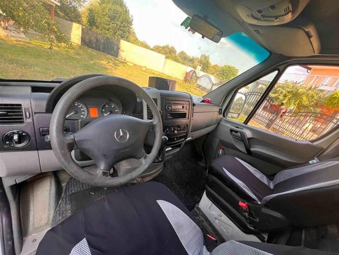 Sprinter 313
