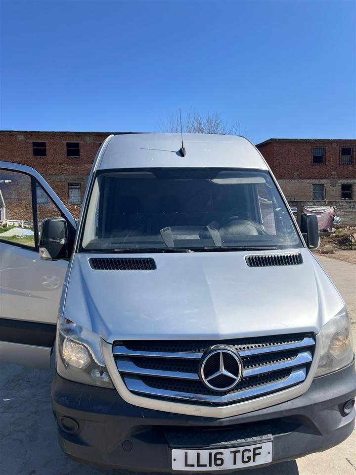 Shes-sprinter-906