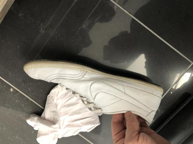 Puma kepuce
