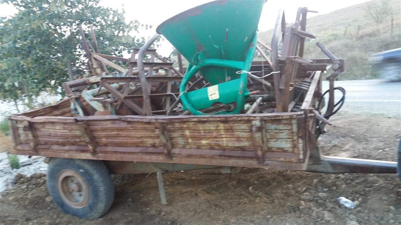 Fergusan-539