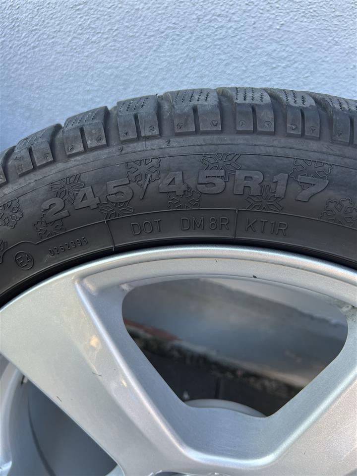 Fellne-17