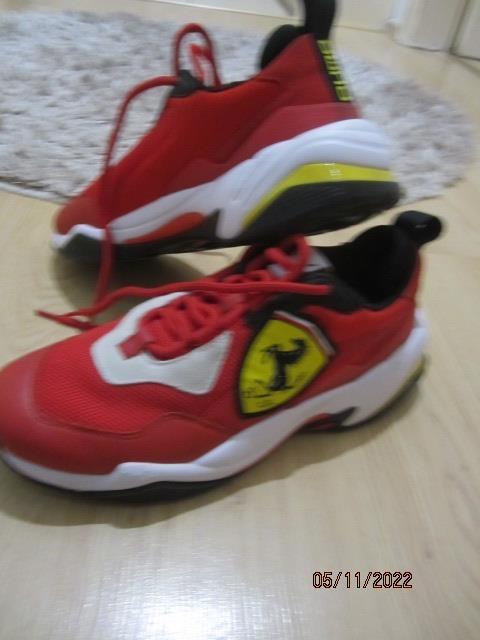 puma-