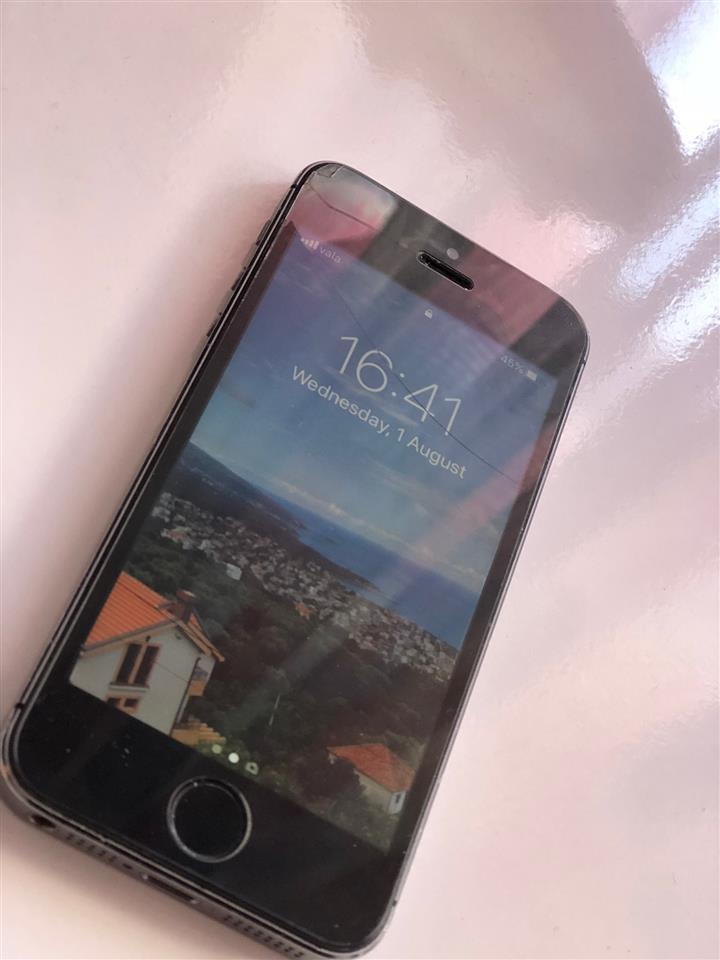 Shitet-iphone-5s