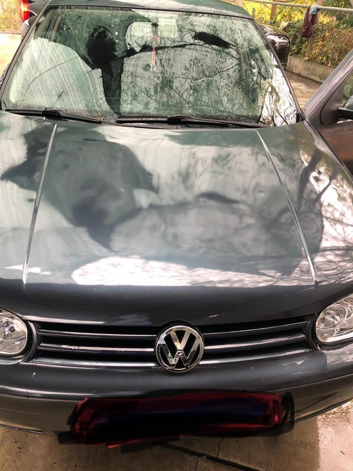 Golf-4
