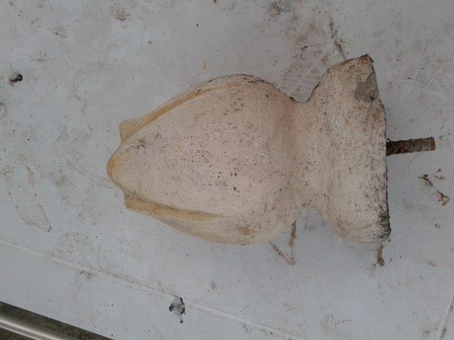 Gilindera