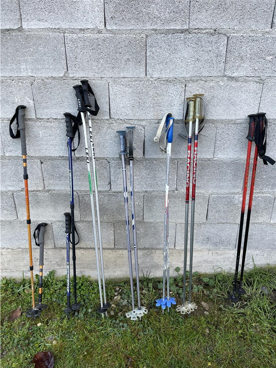 Ski