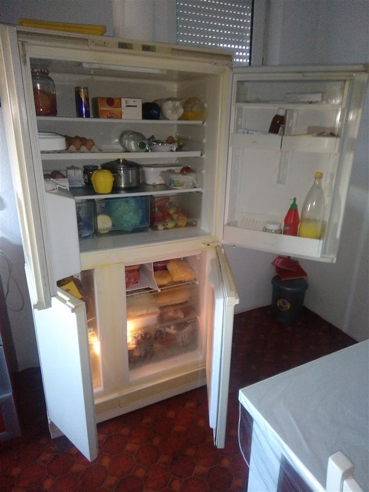 Frigo