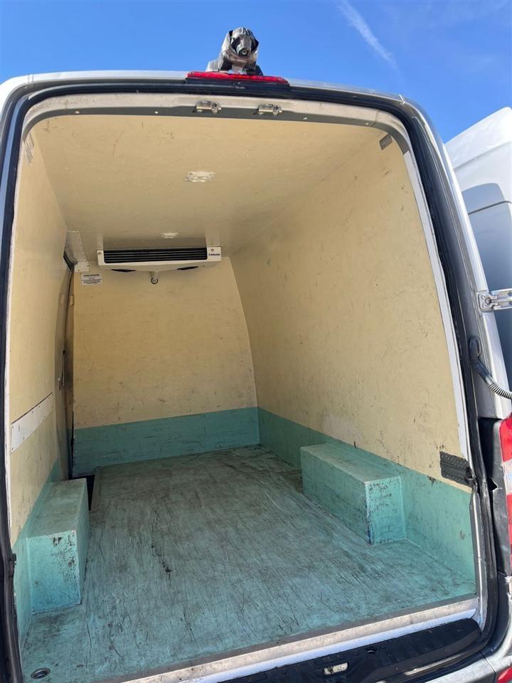 Shes-sprinter-906