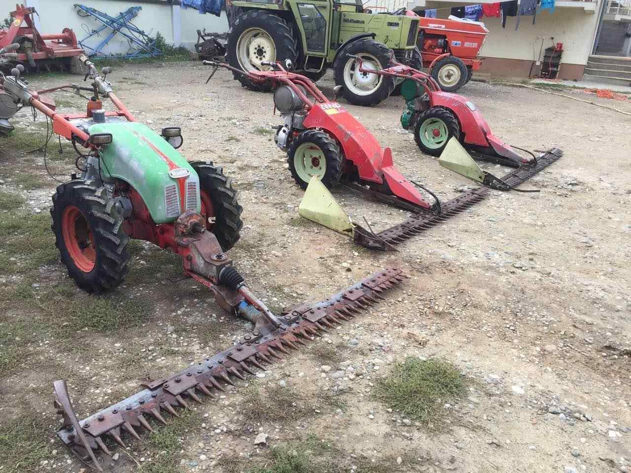 Rapida