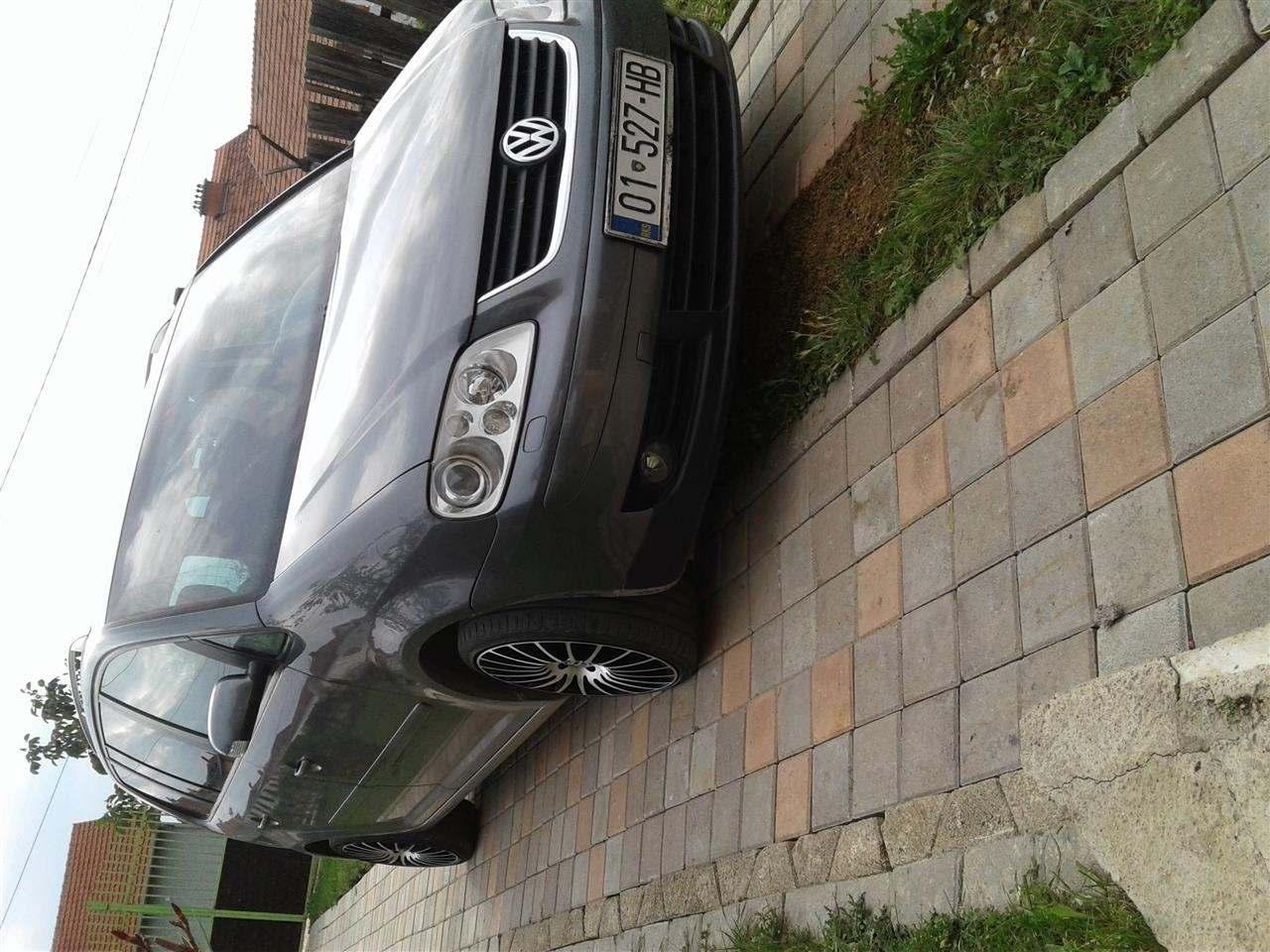 tauran