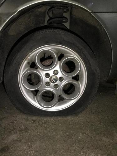 Fellne