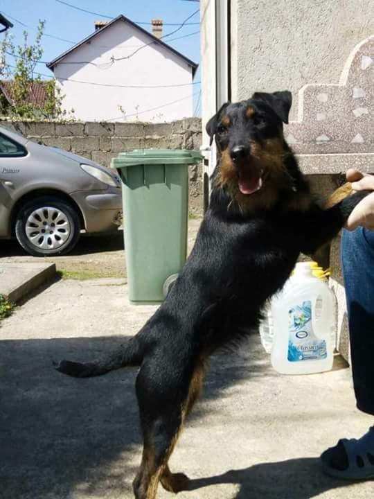 Tettier
