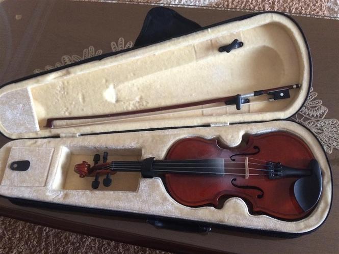 Violin