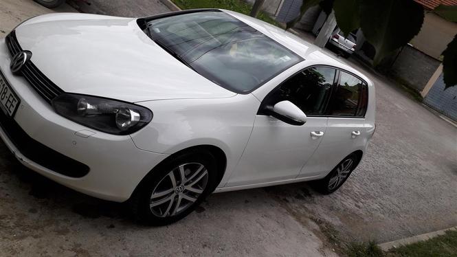 SHES GOLF VI