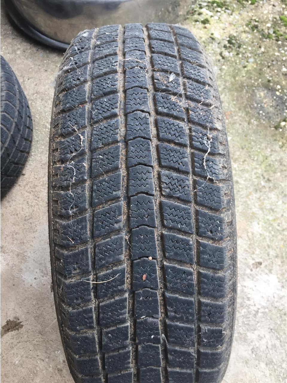 Bandash-per-suzuki