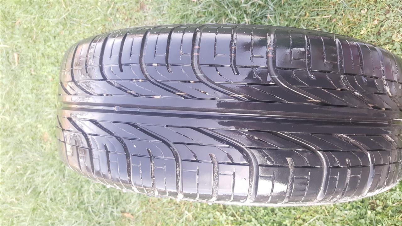 fellne